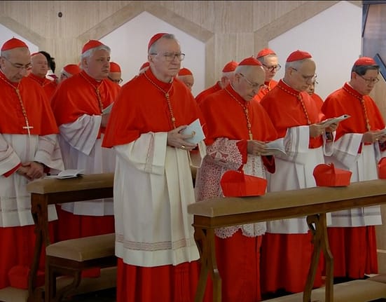 La Vatican se anunță un conclav fără precedent în istoria recentă a Bisericii Catolice. Un papă african ar fi „o inspirație pentru întreaga lume catolică”