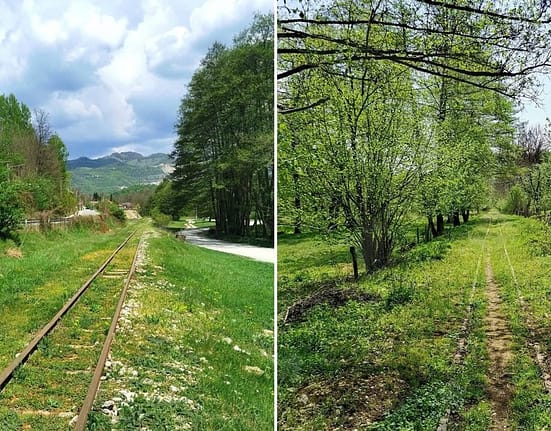 Mocănița oltenească: legendarul tren care ar putea deveni unica atracție de acest fel de la sud de Carpați. „Mocănițele României”