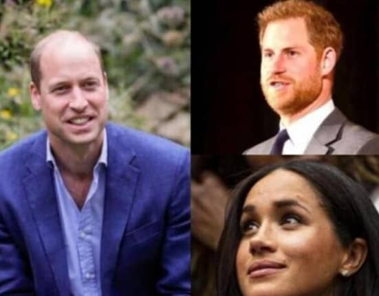 Gestul Prințului William care ar putea reaprinde conflictul cu Prințul Harry. Atac indirect la Meghan Markle
