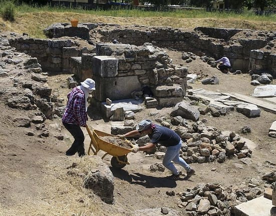 Arheologii francezi descoperă un trunchi fosilizat vechi de 28 de milioane de ani