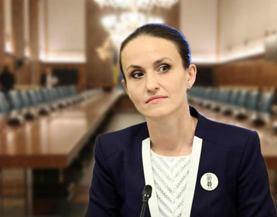 Ministra de Externe, Oana Țoiu, a vorbit la telefon cu omologul său francez. Temele discutate