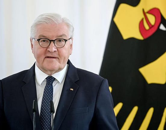 Apelul președintelui german către partidele de la guvernare, în prima dispută majoră a coaliției