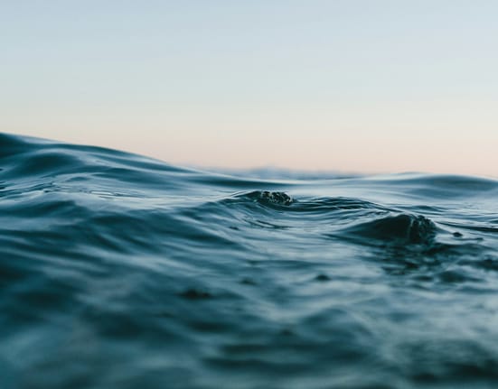 Descoperire în adâncurile Oceanului Pacific: O „oază vibrantă“ de animale devoratoare de substanțe chimice