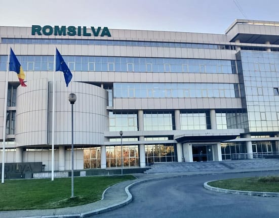 Romsilva achiziţionează servicii de împădurire pentru judeţul Tulcea cu 2,5 milioane lei