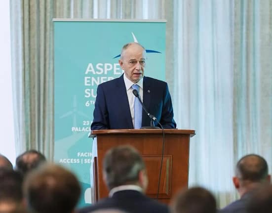 Filatov, posibil consilier al lui Nicușor Dan, apare pe site-ul BEC ca reprezentant al partidului care l-a sprijinit pe Geoană