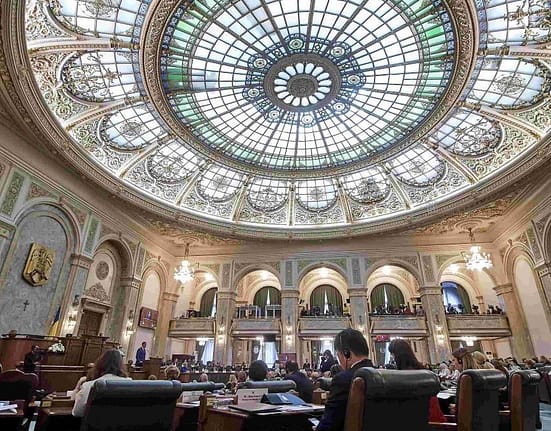 Senatul a adoptat Legea Majoratului Digital