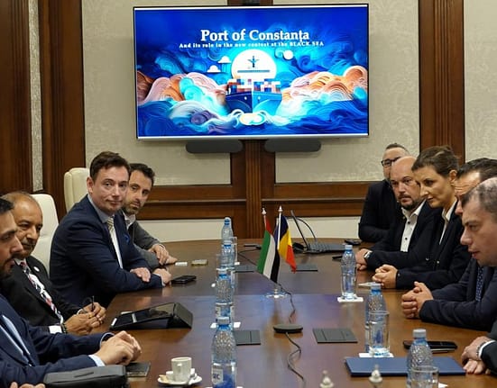 Companie din Emiratele Arabe Unite, interes pentru investiții în Portul Constanța