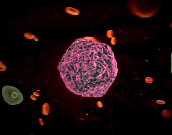 Revine febra tifoidă? O tulpină rezistentă a ceea ce se credea a fi ‘boala vremurilor de demult’ se răspândește din nou pe glob. Cercetătorii au lansat deja avertismente