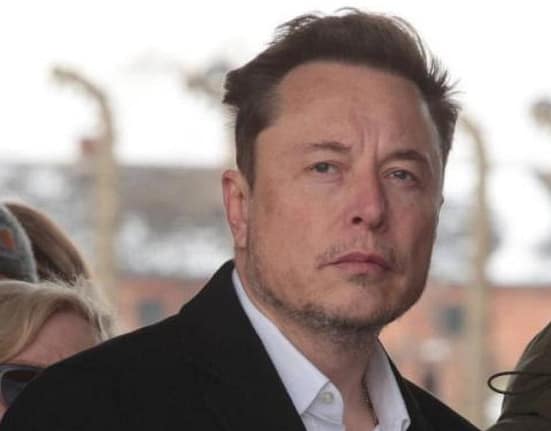 Elon Musk spune că Uniunea Europeană trebuie „eradicată”. De la ce a pornit furia miliardarului
