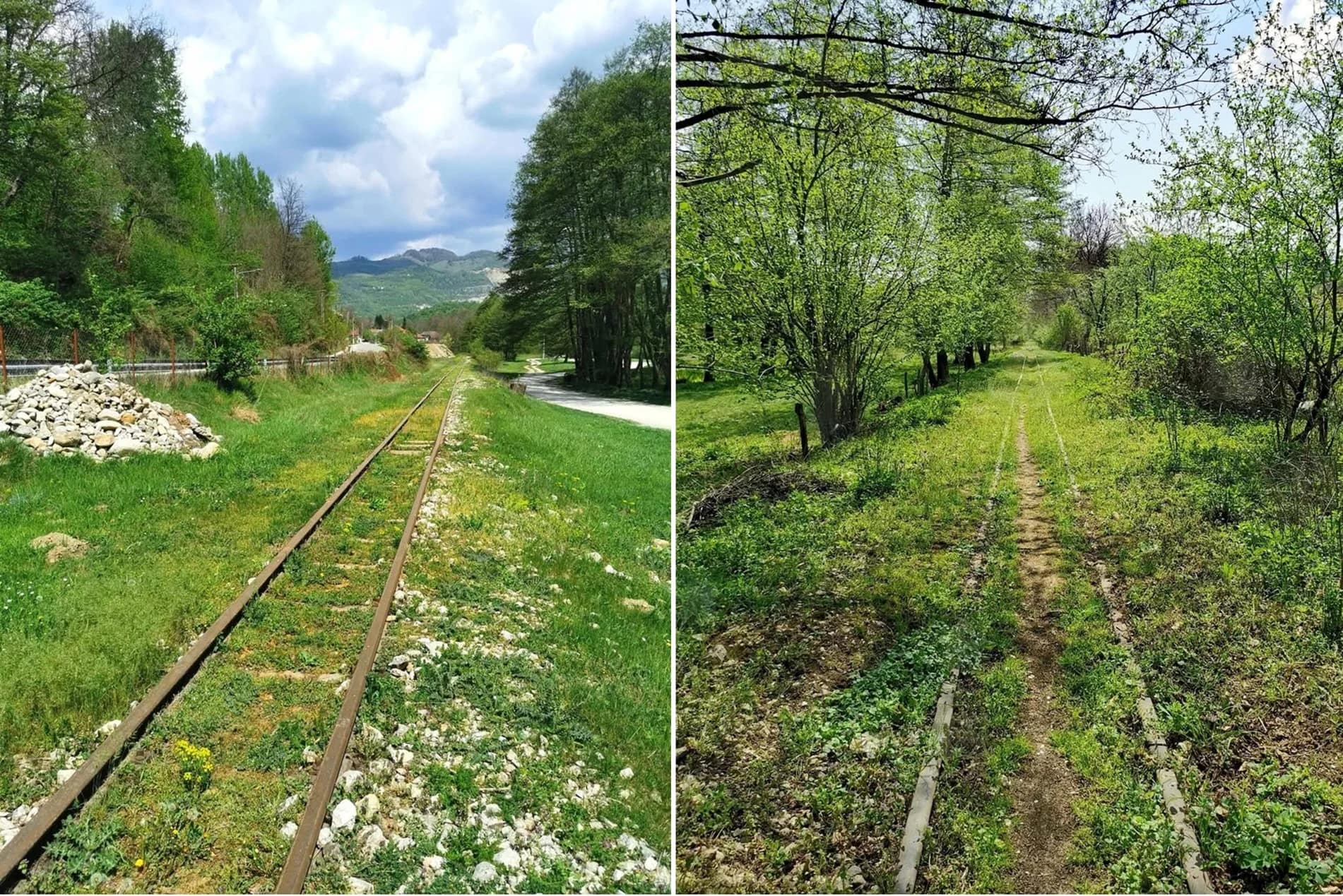 Traseul mocăniței de pe Valea Bistriței din Oltenia de sub Munte Foto Florin Stoican facebook