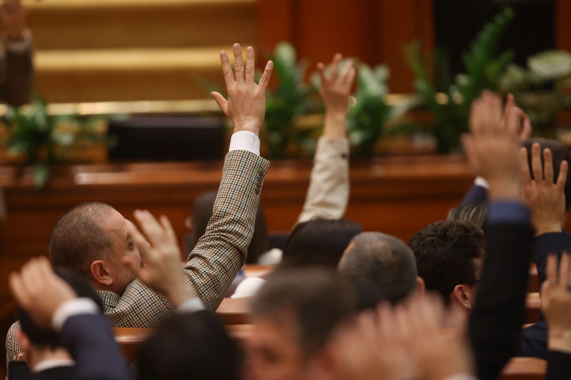 Inquam / George Călin 