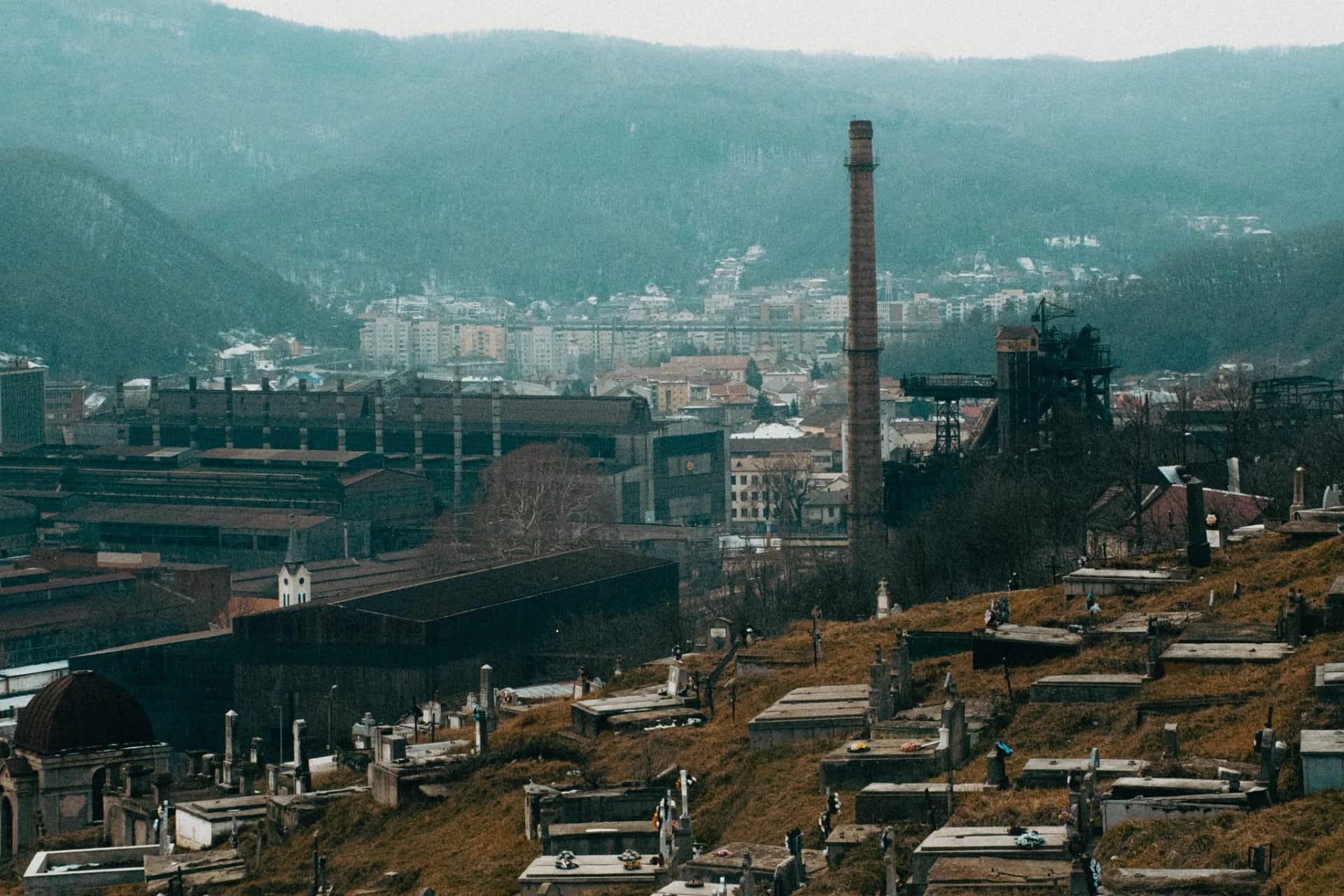 Olimpicul internațional este pasionat de fotografie FOTO: David Dumitrescu